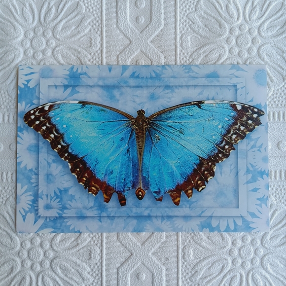 Butterly Stationery Cards 8 ct - Picture 7 of 16